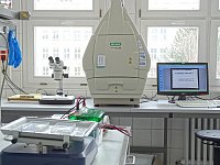 Bio-Rad ChemiDoc MP detection system