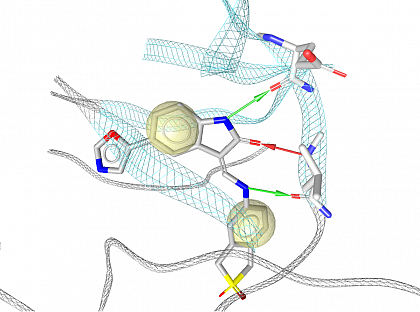 CDK2 protein X-ray structure 1ke7.pdb with bound inhibitor and determined pharmacophore